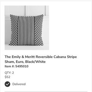 Pottery Barn Euro Pillow Shams (2)